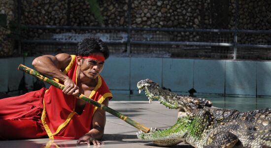 Phuket Animal Show